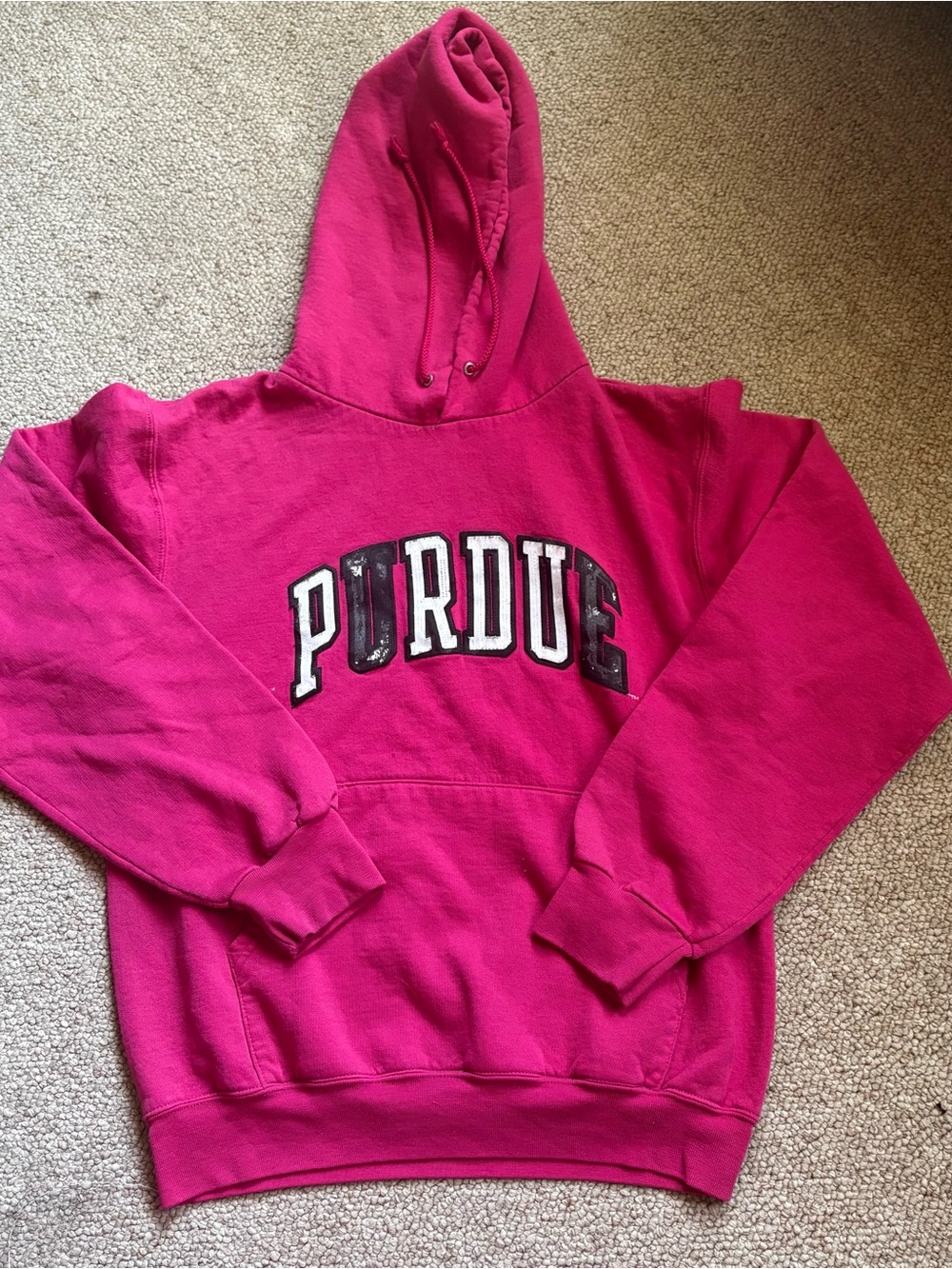 Champion Bright Pink Hoodie with Logo Tag